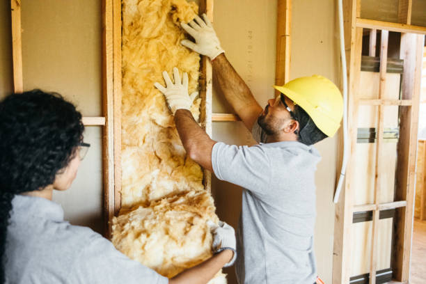 Types of Insulation We Offer in Hebbronville, TX